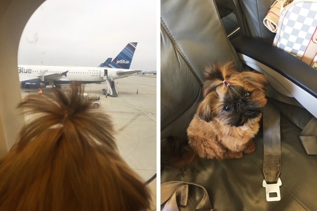 Illustration de l'article : 26 snaps that prove how deceptive photos can be!