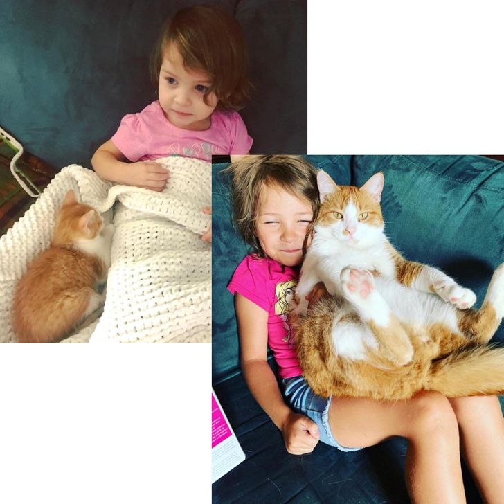 Illustration de l'article : 20 then-and-now photos that bring back memories of the good ol’ days