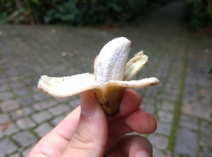 Illustration de l'article : 20 unsual objects discovered by chance