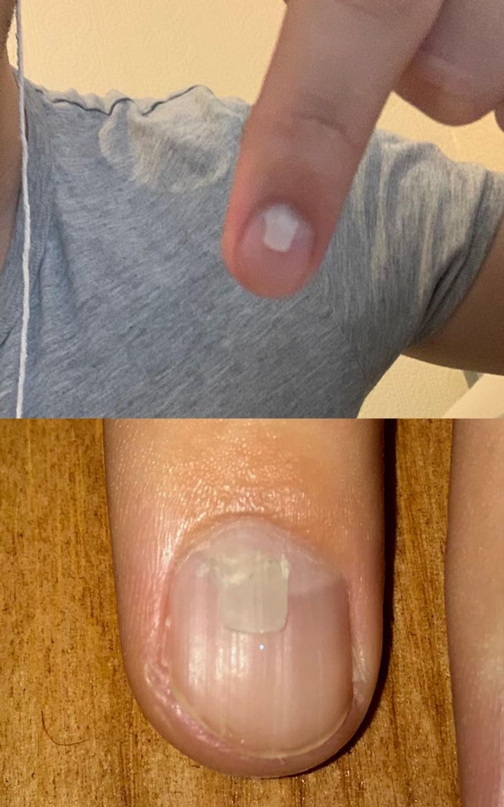 Illustration de l'article : 18 times nature has surpassed itself