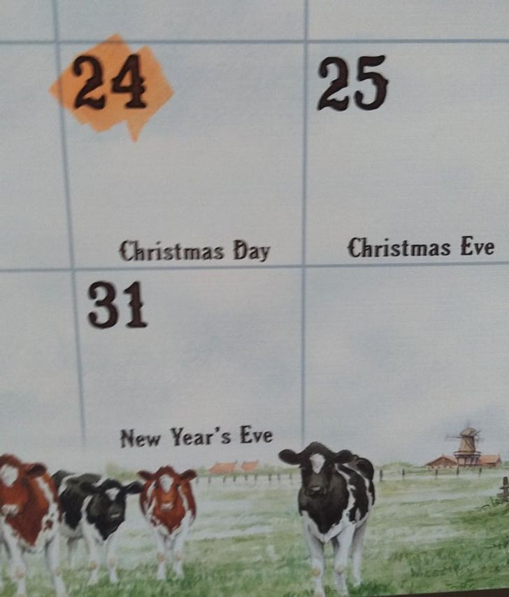 Illustration de l'article : 16 people who were determined to do things their own way