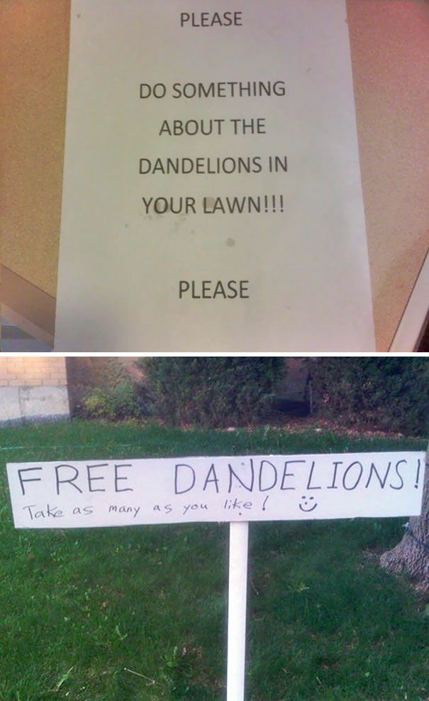 Illustration de l'article : 30 residents who decided to spice up their neighborhood