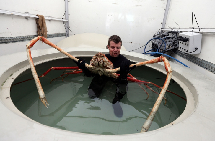 Illustration de l'article : 21 photos that prove we live in a weird and wonderful world!