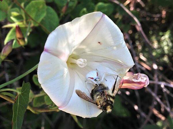 Illustration de l'article : 15 horrible situations we never want to experience