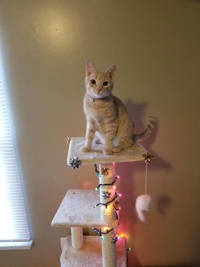 Illustration de l'article : 28 heart-warming acts of kindness that will restore your faith in humanity