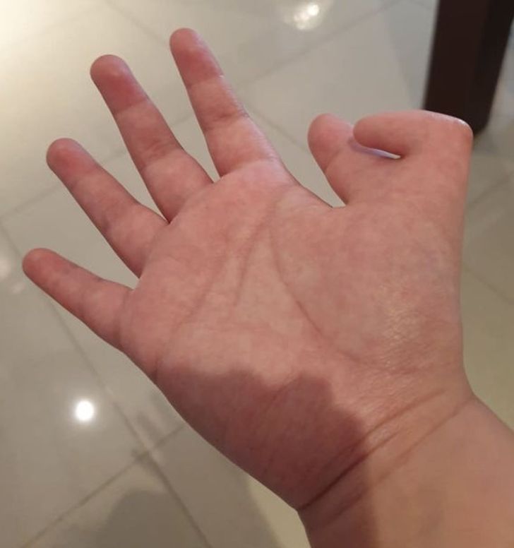 Illustration de l'article : 18 times nature has surpassed itself