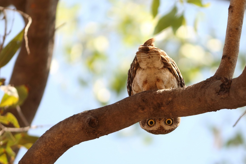 Illustration de l'article : 24 photos that will be hard to forget