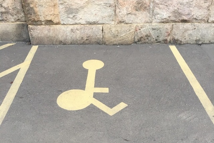 Illustration de l'article : 19 crazy sights caught on camera