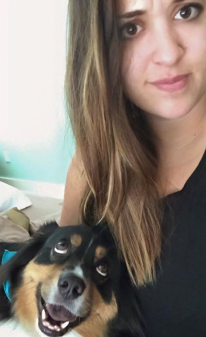 Illustration de l'article : 20 adorable photos of Australian Shepherd dogs