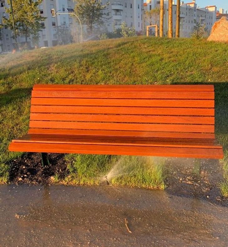 Illustration de l'article : 19 photos of ideas that had disastrous results