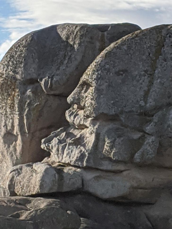 Illustration de l'article : 20 photos that show Mother Nature has a great sense of humor