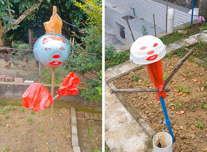 Illustration de l'article : 16 practical ideas that illustrate the power of common sense