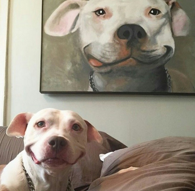 Illustration de l'article : 17 pictures that will stir your emotions
