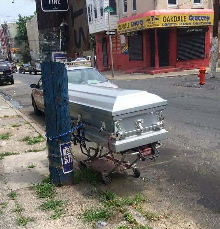 Illustration de l'article : 23 people who acted silly