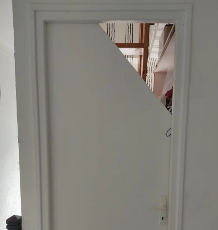 Illustration de l'article : 18 once in a lifetime occurrences that netizens snapped and shared