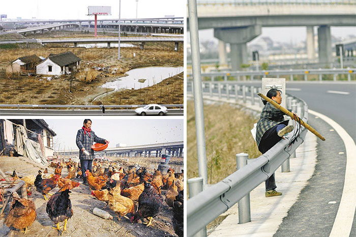Illustration de l'article : 20 courageous homeowners who refused to sell their properties to powerful developers