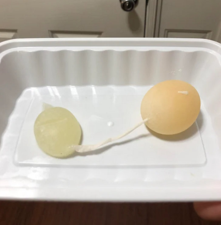 Illustration de l'article : 18 once in a lifetime occurrences that netizens snapped and shared