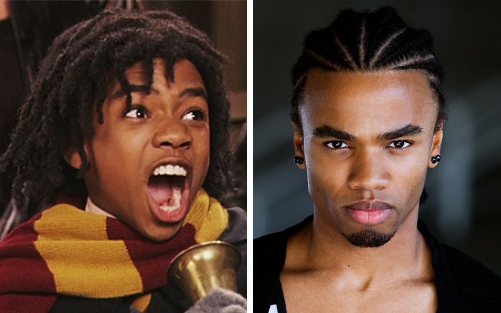 Illustration de l'article : 25 Hogwarts students who have changed as if by magic