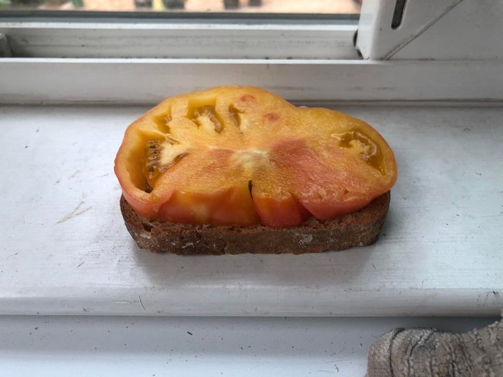 Illustration de l'article : 19 photos that will soothe the fussiest of people