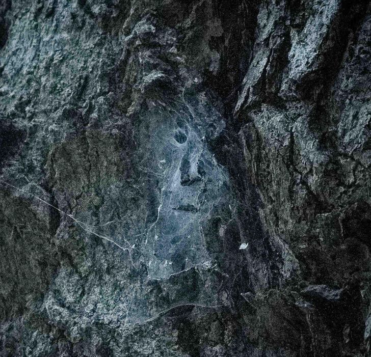 Illustration de l'article : 20 photos that aren’t what they seem