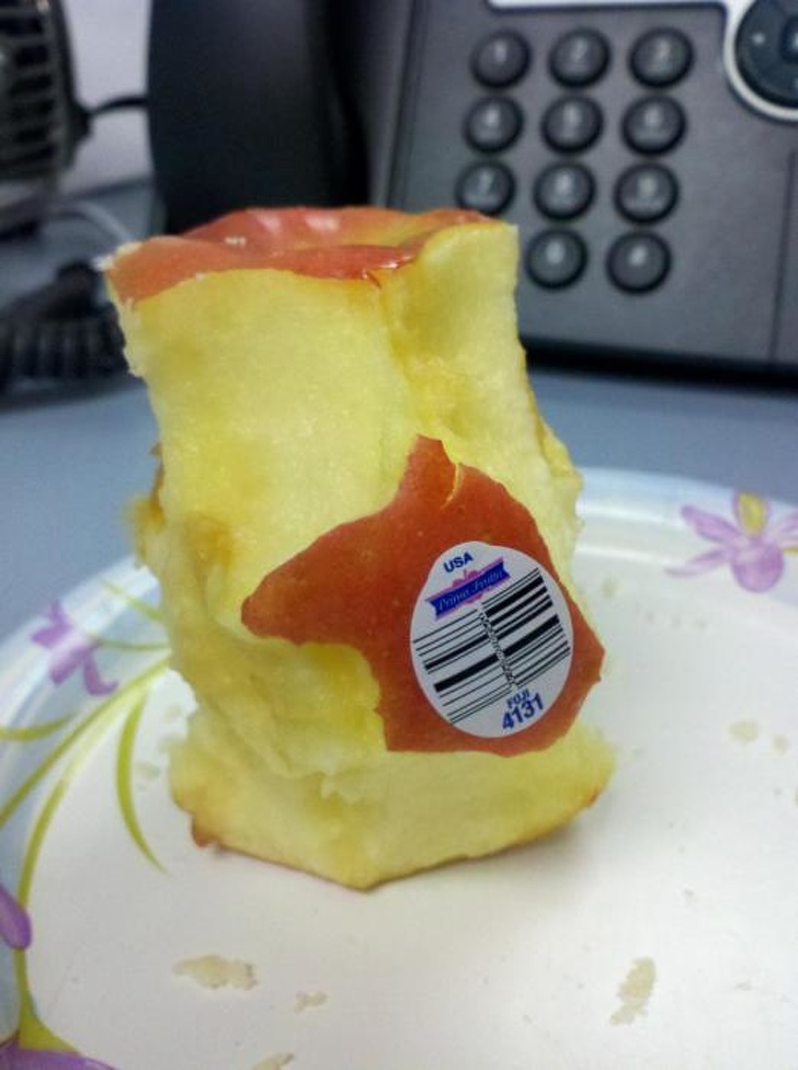 Illustration de l'article : 21 photos that define laziness