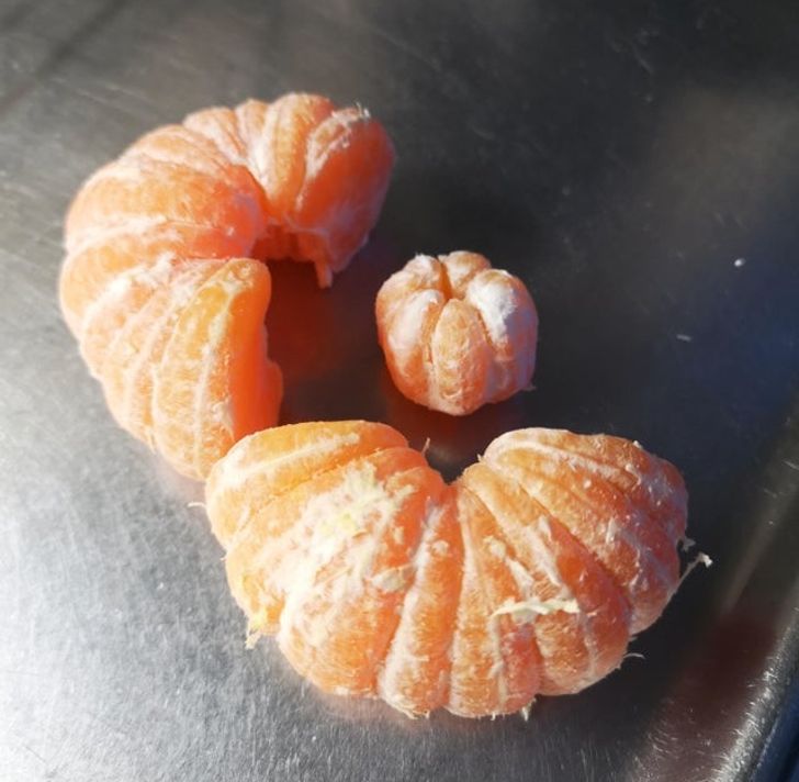 Illustration de l'article : 19 photos that illustrate the beauty of nature