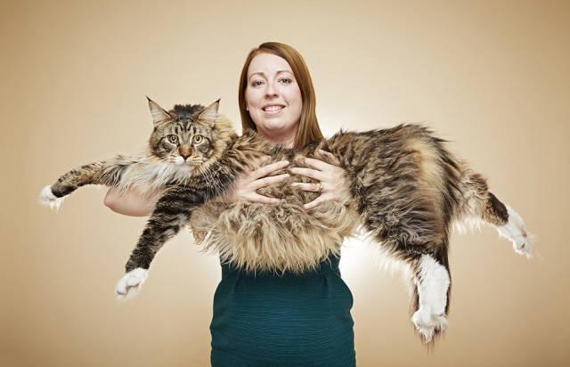 Illustration de l'article : 19 of the most unusual world records from The Guinness Book of World Records! Which are the most surprising?
