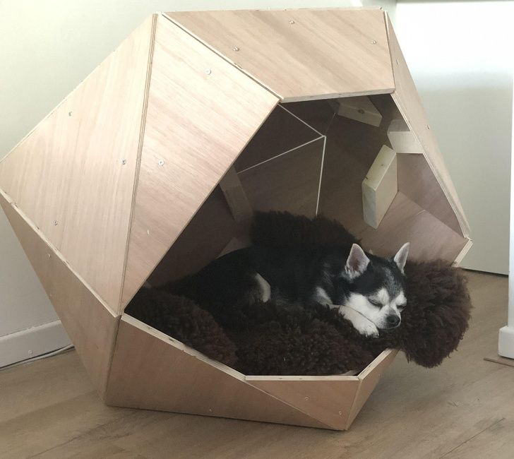 Illustration de l'article : 18 photos that show some awesome design ideas