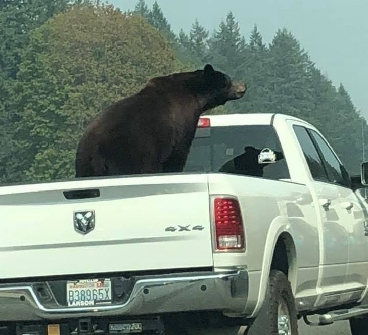 Illustration de l'article : 18 people who stood out from the crowd for a variety of reasons