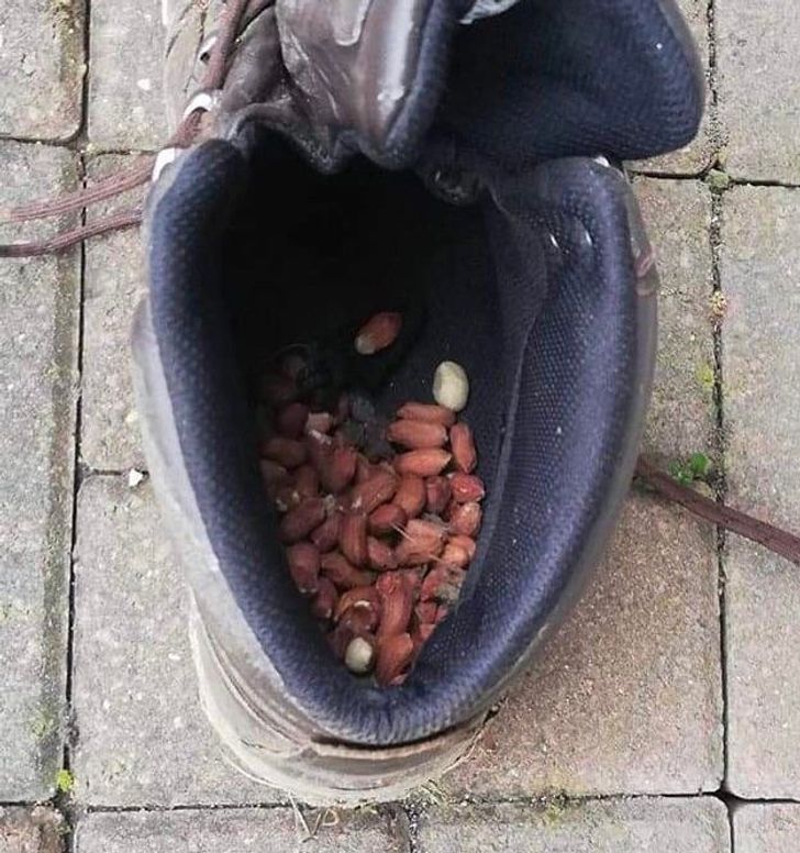 Illustration de l'article : 18 people who were overjoyed by a stroke of good luck