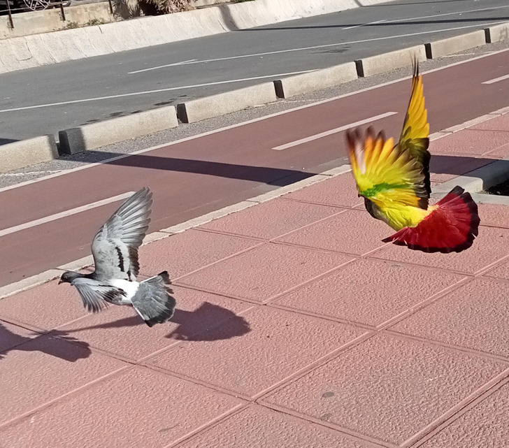 Illustration de l'article : 19 photos of everyday things that will bring a smile to your face