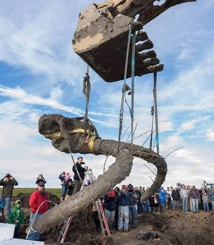 Illustration de l'article : 22 photos that shed another light on the world