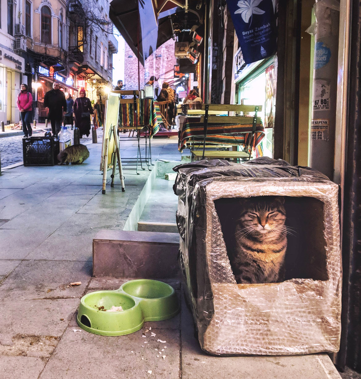 Illustration de l'article : 20 photos that show the happier side of life