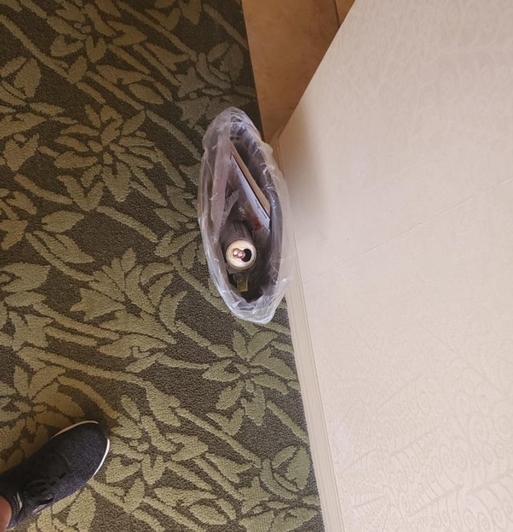 Illustration de l'article : 18 hotel patrons who found a surprise waiting for them