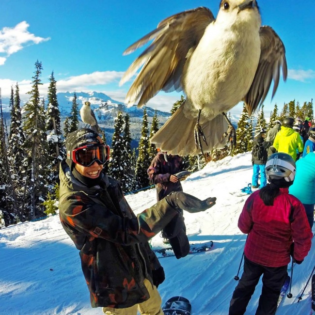 Illustration de l'article : 32 awesome perfectly-timed photos