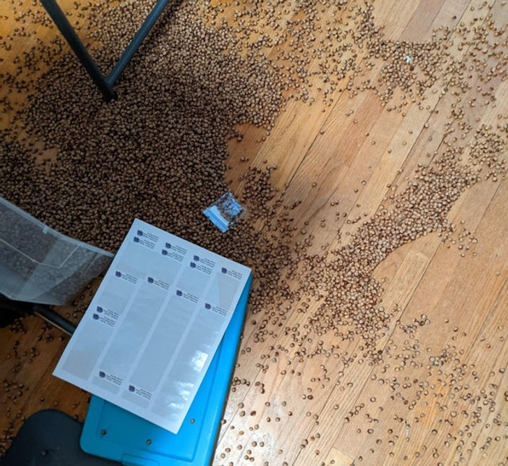 Illustration de l'article : 18 photos of people who ran into some bad luck