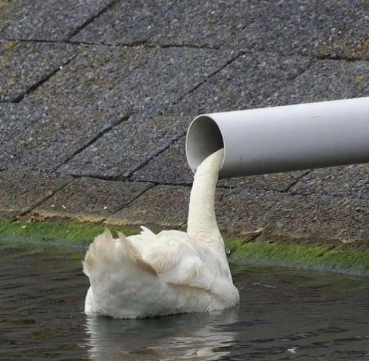 Illustration de l'article : 16 photos that will totally mess with your brain