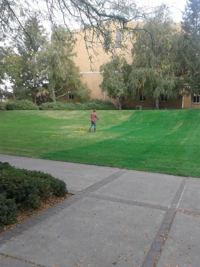 Illustration de l'article : 12 pictures that prove we know nothing about this world