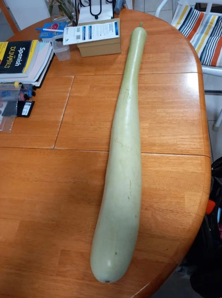 Illustration de l'article : 20 photos that show how marvellous the world around us can be