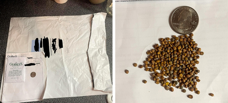 Illustration de l'article : 18 photos of excessive and pointless packaging