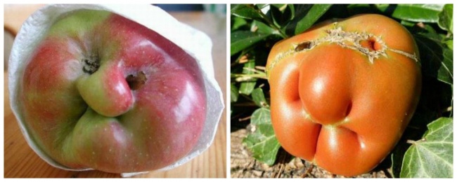 Illustration de l'article : 27 photos where something strange happened with food