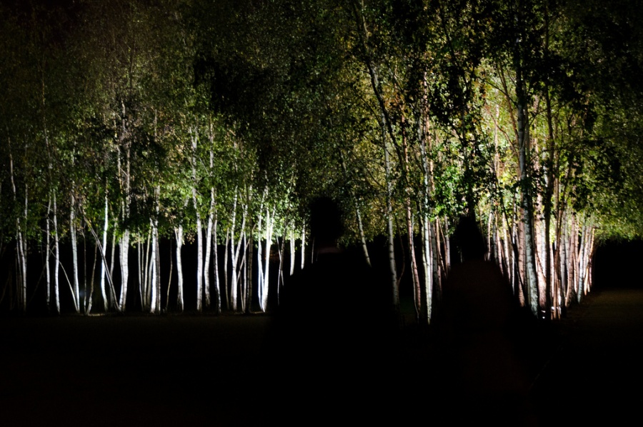 Illustration de l'article : 25 photos you’ll have to look at twice to understand