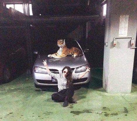 Illustration de l'article : 14 people who pretended to be rich!