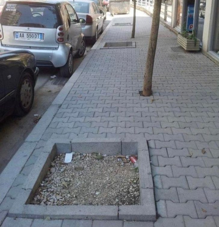 Illustration de l'article : 16 people who were determined to do things their own way