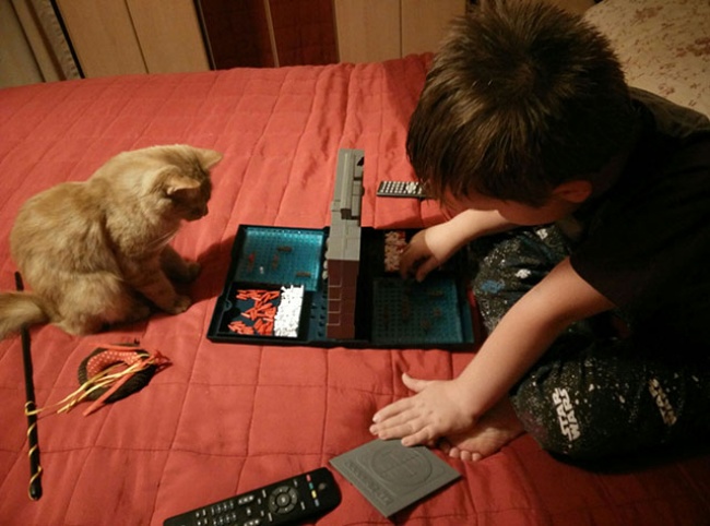 Illustration de l'article : 25 cute pets snapped mimicking their owners