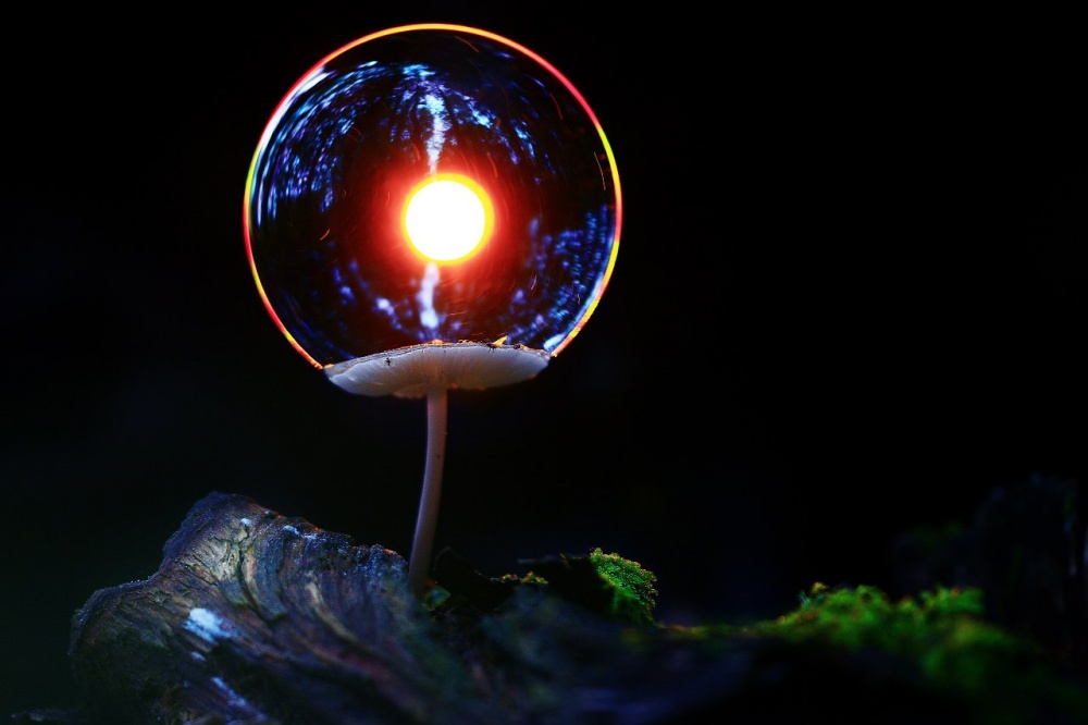 Illustration de l'article : 16 captivating images of the most fascinating natural wonders in the world