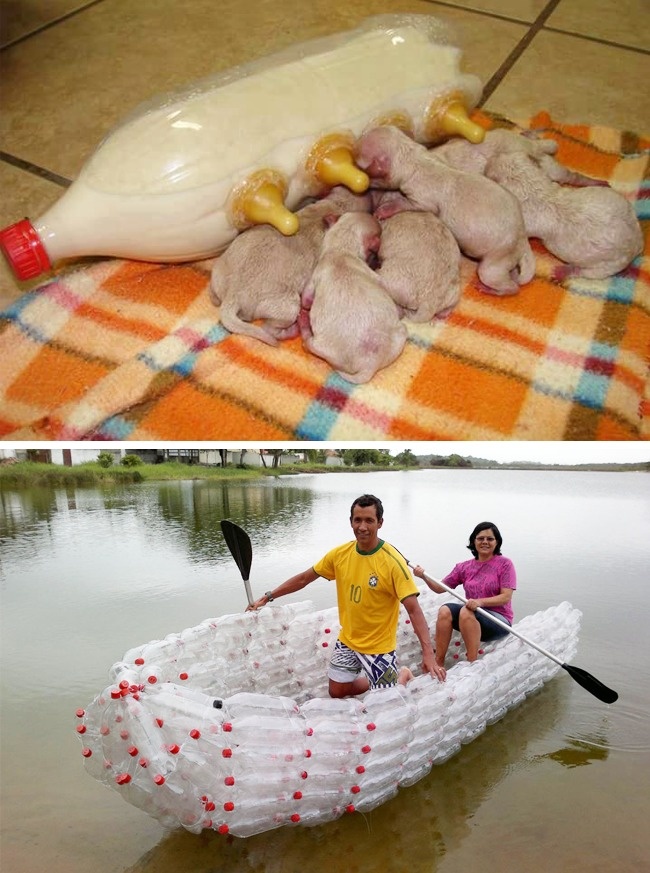 Illustration de l'article : 16 easy ways to help preserve our planet