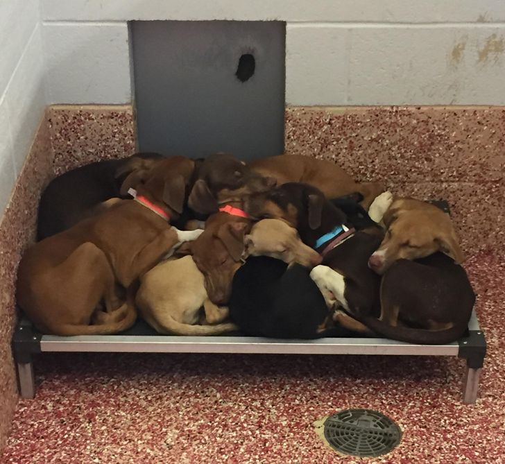 Illustration de l'article : 20 fascinating photos that provide an insight into different professions