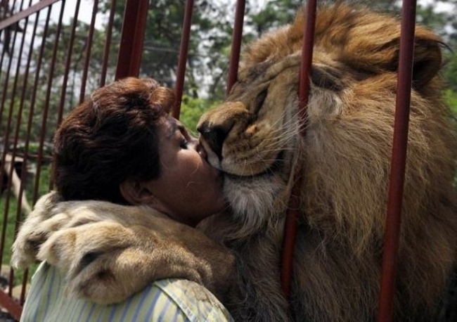 Illustration de l'article : 17 moving photos that will touch your heart