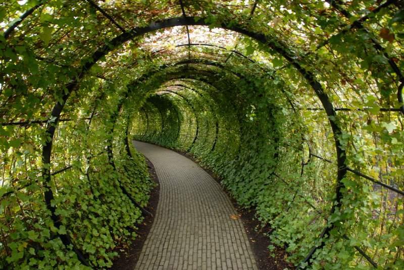 Illustration de l'article : 15 photos of the world's most dangerous garden
